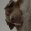 ajbarryiii